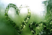 山木自寇打一最佳生肖，揭晓标准词语答案