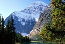 授人之柄打一最佳生肖，重点揭晓成语答案