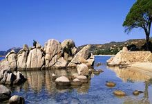 呼天抢地打一最佳生肖，揭晓标准词语答案